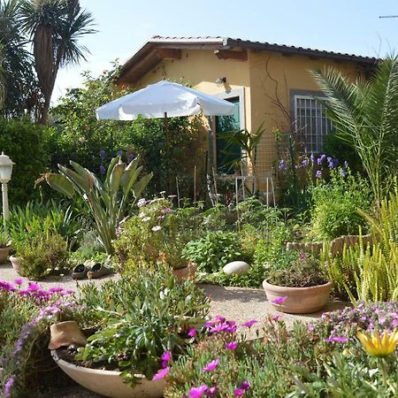 Le Cicale Villa Casal Palocco Exterior foto
