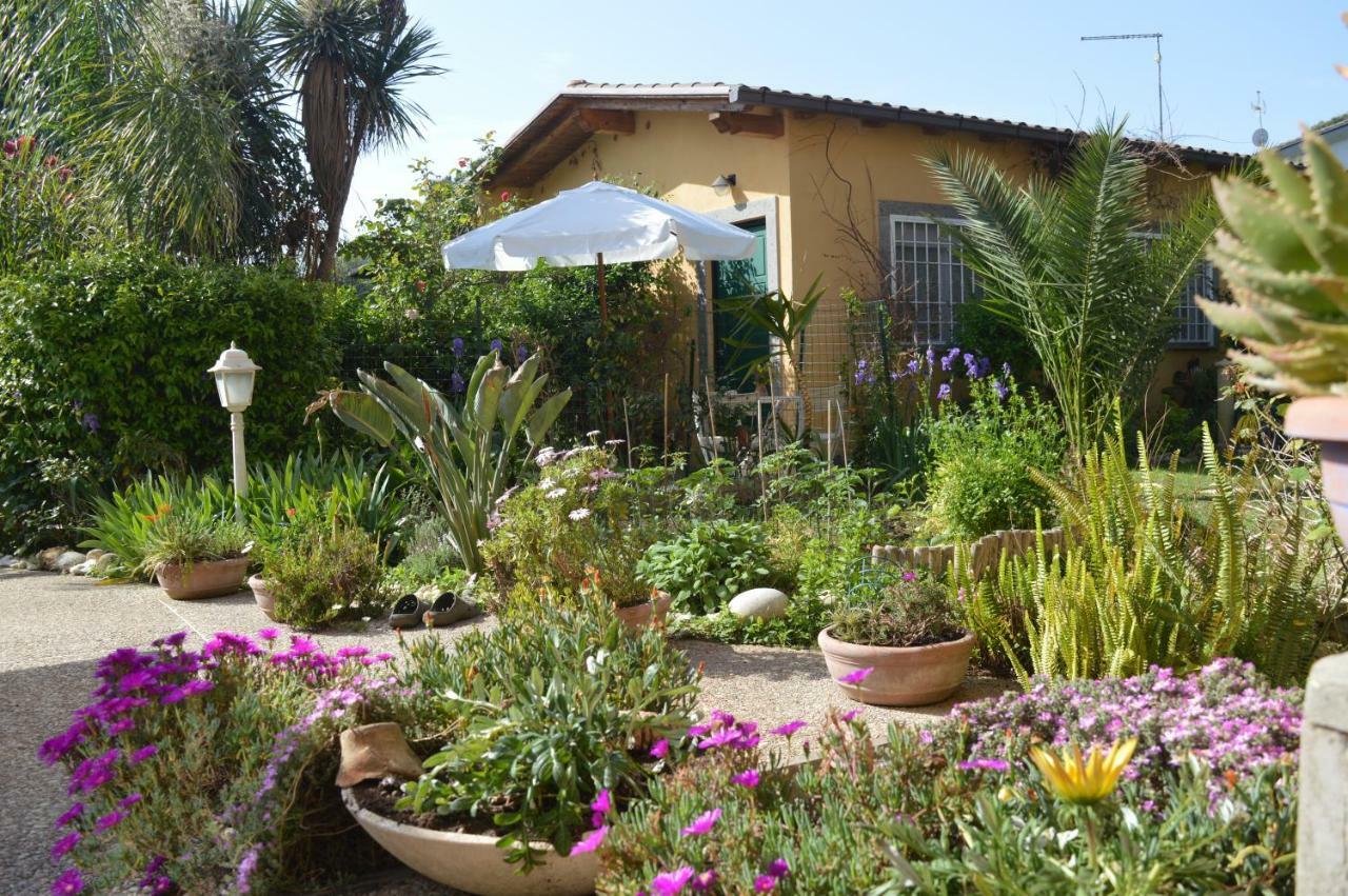 Le Cicale Villa Casal Palocco Exterior foto