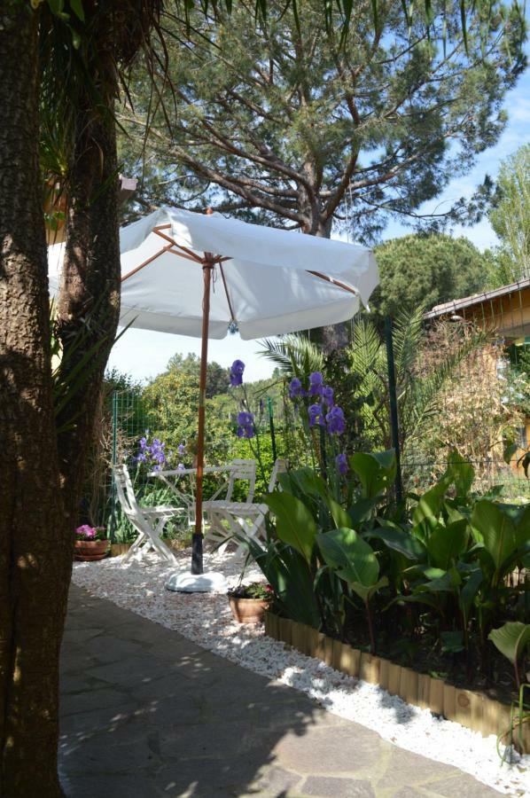 Le Cicale Villa Casal Palocco Exterior foto