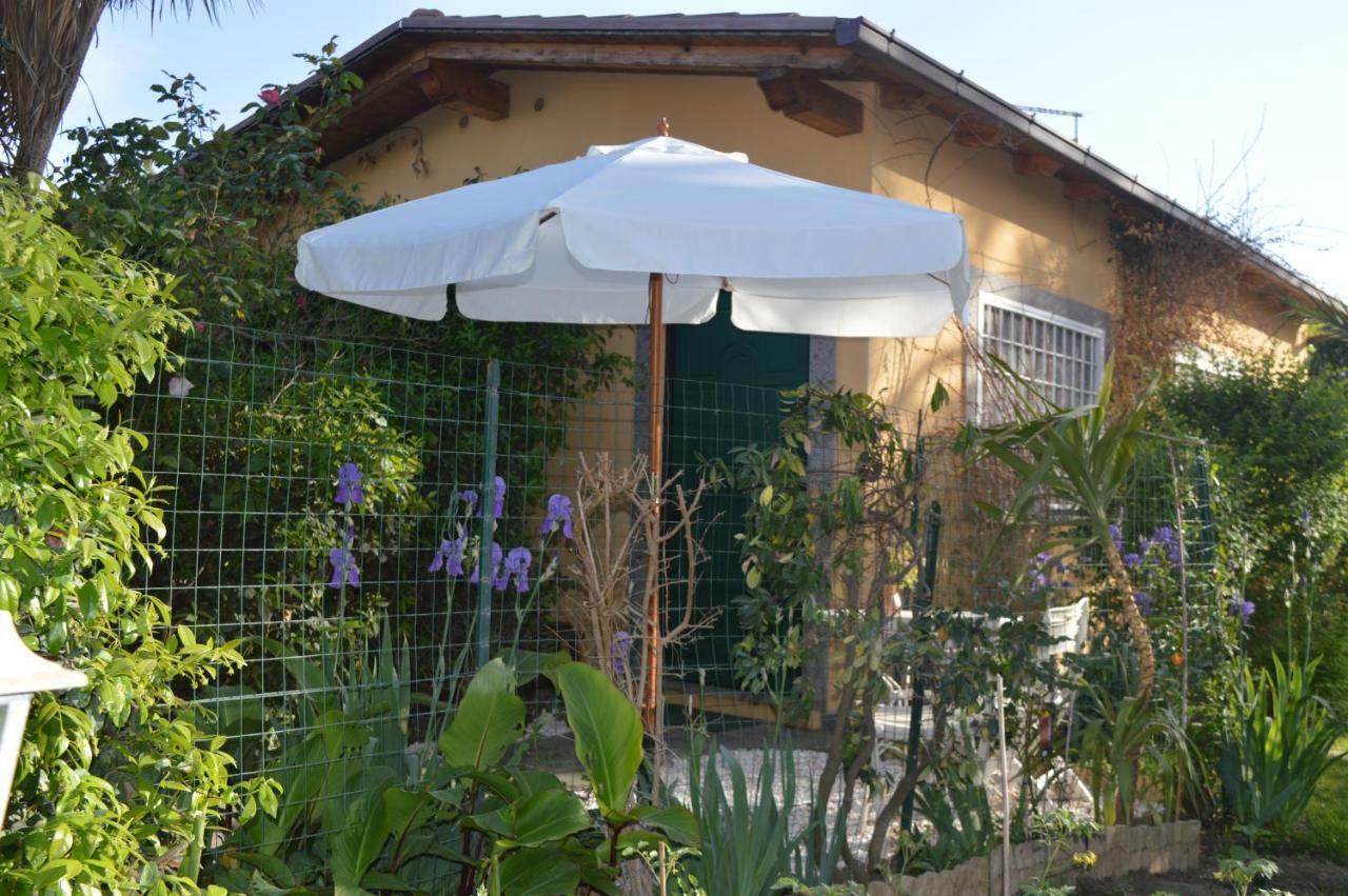 Le Cicale Villa Casal Palocco Exterior foto